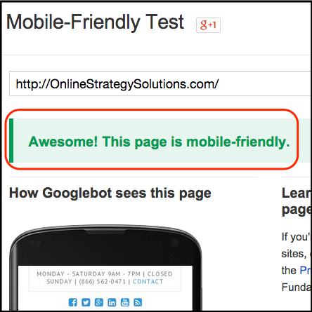 Google Mobile Friendly Success Message