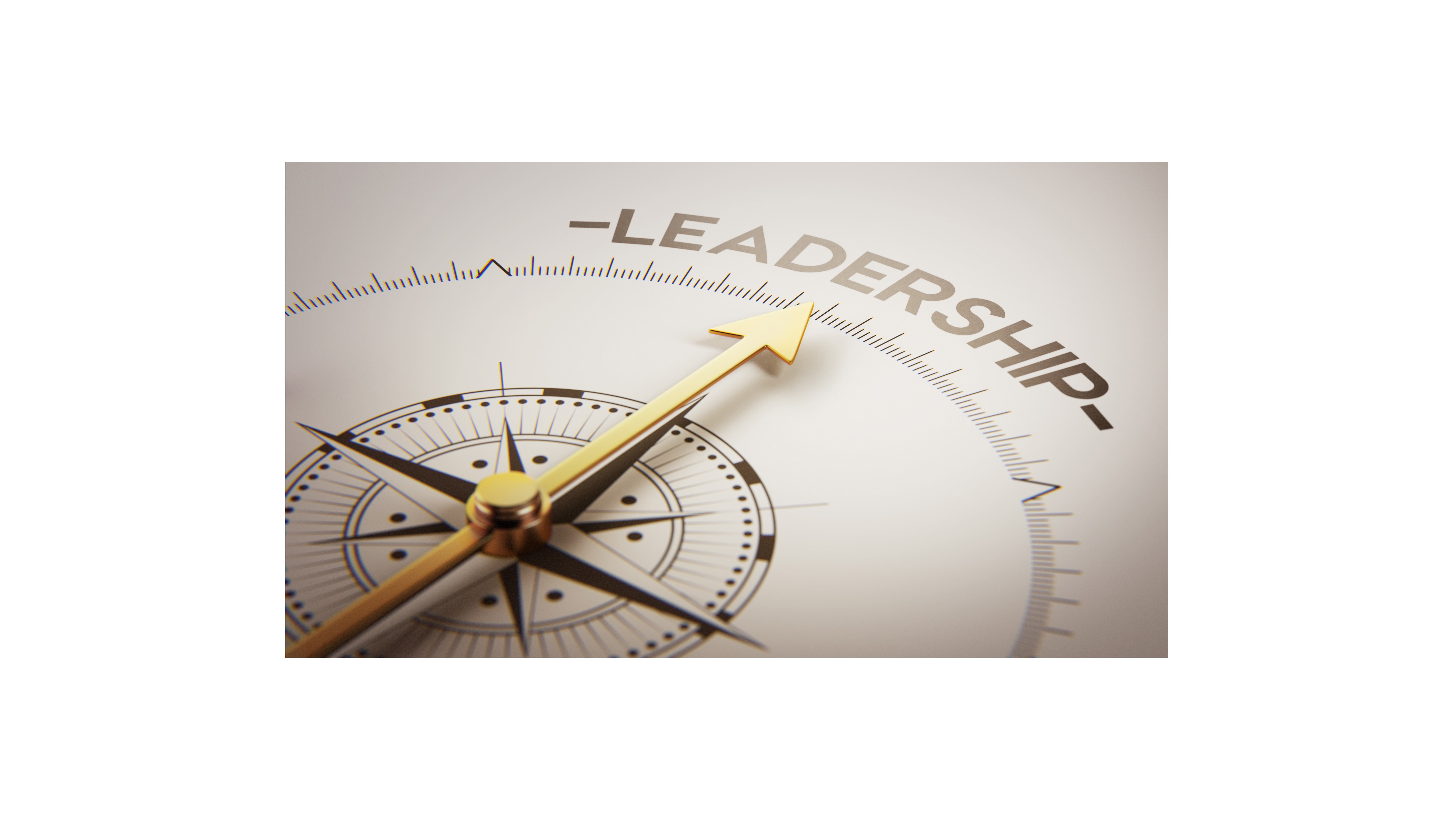 Leadership Attributes and Management Qualities